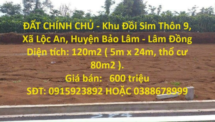 ĐẤT CHÍNH CHỦ - Khu Đồi Sim Thôn 9, Xã Lộc An, Huyện Bảo Lâm - Lâm Đồng